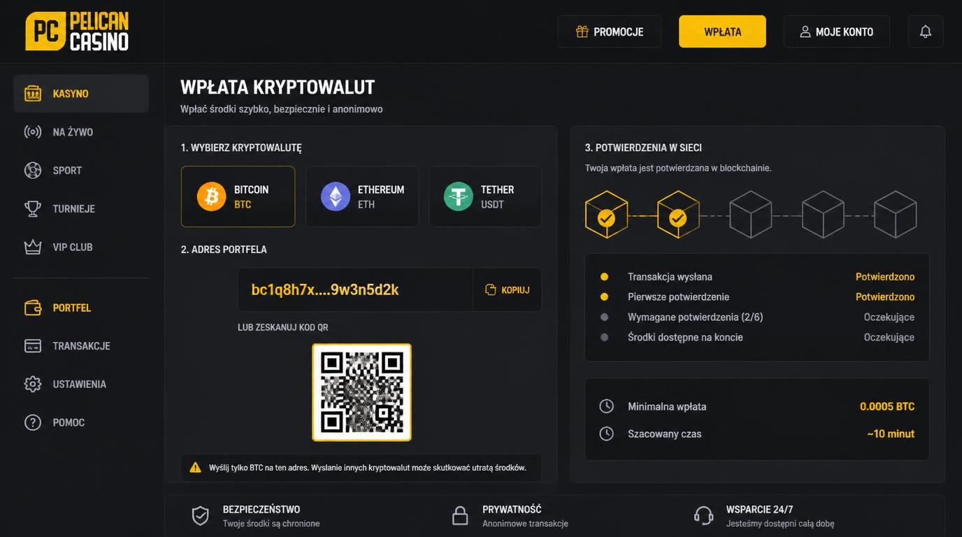 Grafika przedstawiająca wpłatę kryptowalutami.
